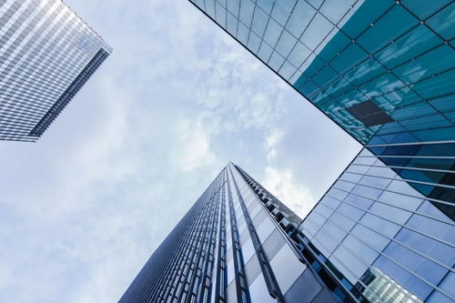 百亿补贴为拼多多带来了什么？——一场信任与增长的博弈